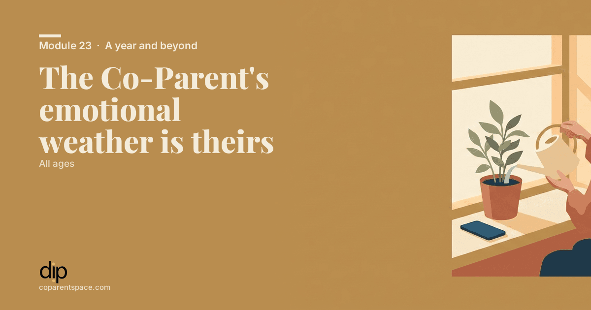 The Co-Parent's emotional weather is theirs