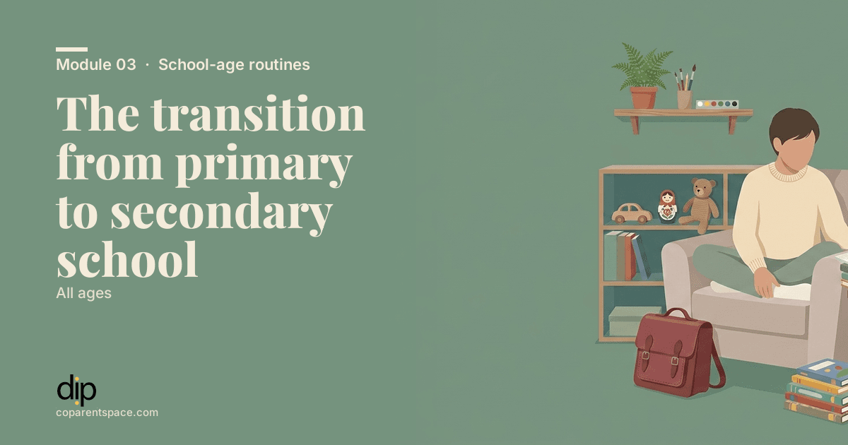 The transition from primary to secondary school