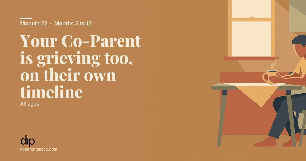 Your Co-Parent is grieving too, on their own timeline